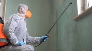 Why You Should Choose Our Mold Remediation Services in Alva, OK